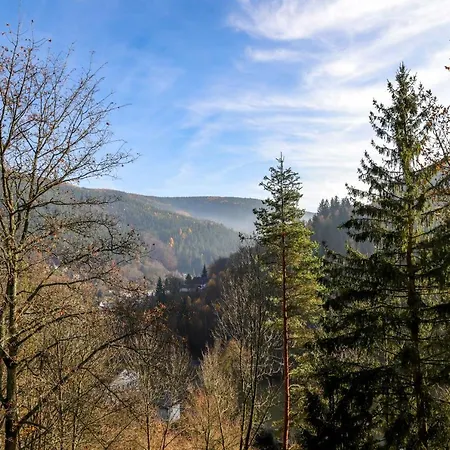 Ferienhaus Weise Unterweissbach Esterno foto